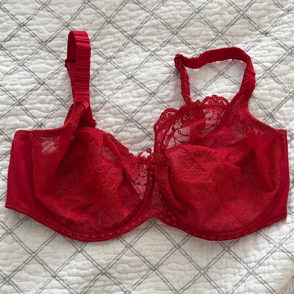 Emperiente Red Lace Bra Cassiope